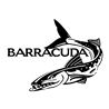 Baracuda